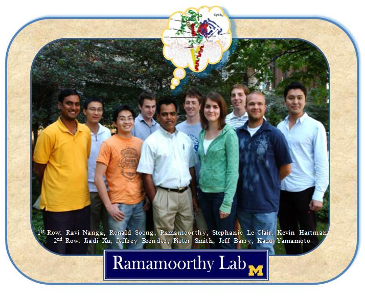 Ramamoorthy lab